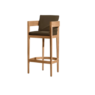 Teak Wood Bar Chair with Cushion